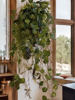 Hanging Vine / Candle Wall Decor