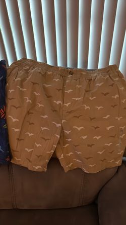 Shorts de playa
