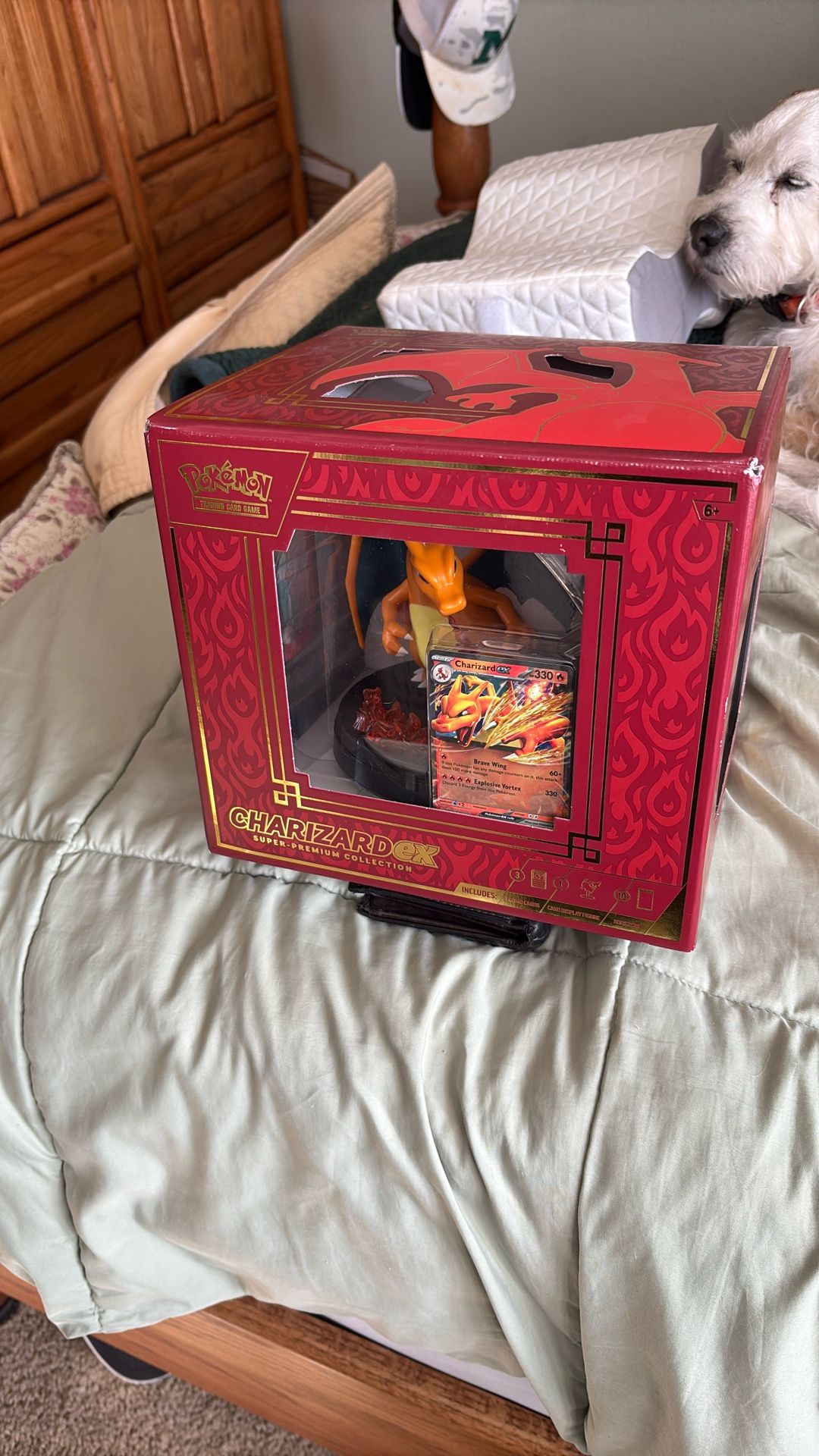 Pokemon Cards Charizard ex Super-Premium Collection Box