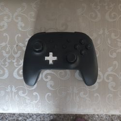 Nintendo Switch Controller 