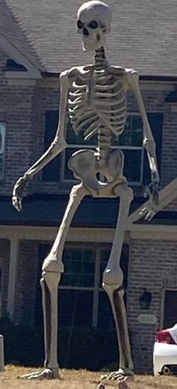 Skeleton - 12 FT Giant-Sized Skelly with LifeEyes LCD Eyes