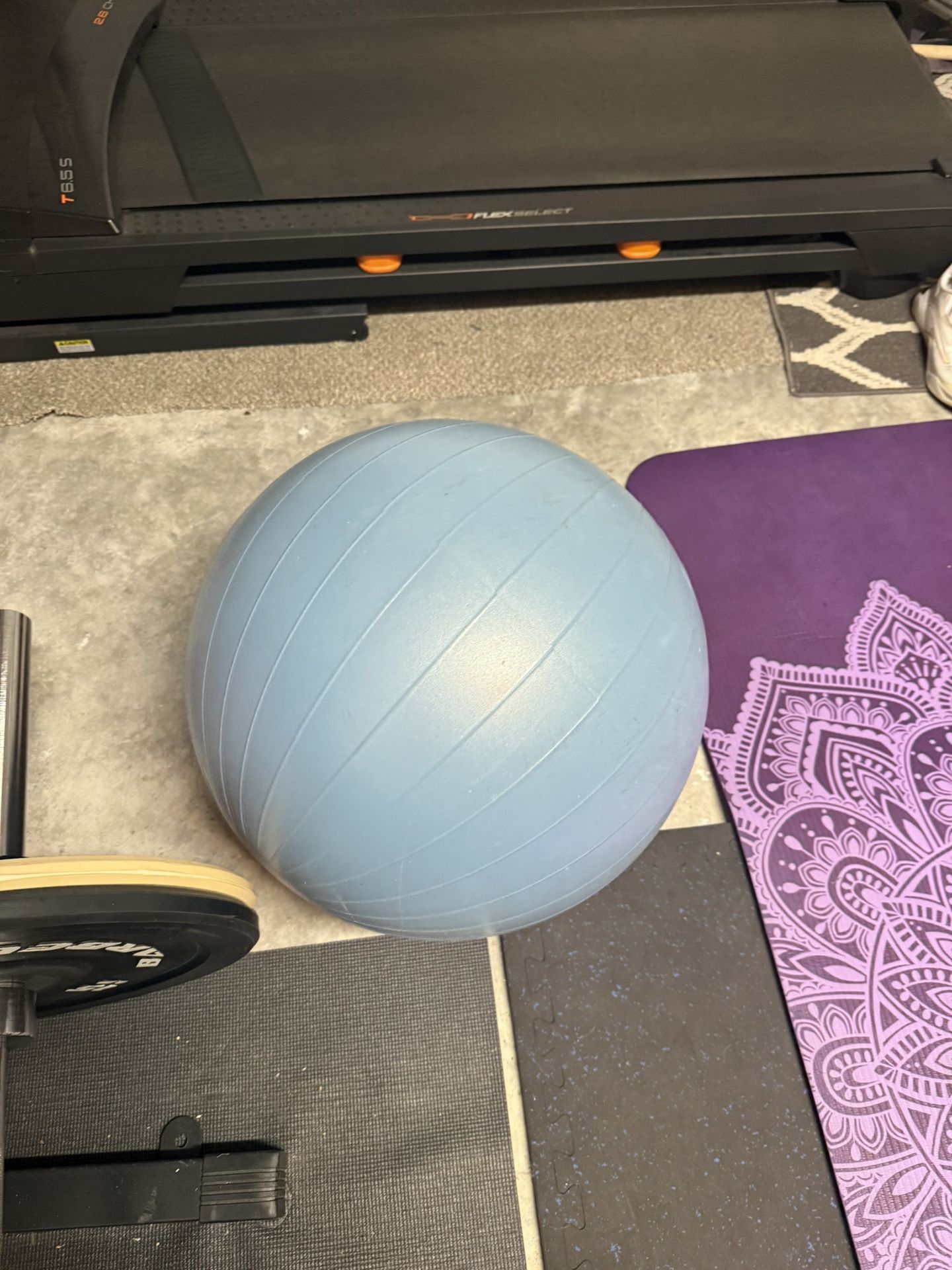 Exercising Ball