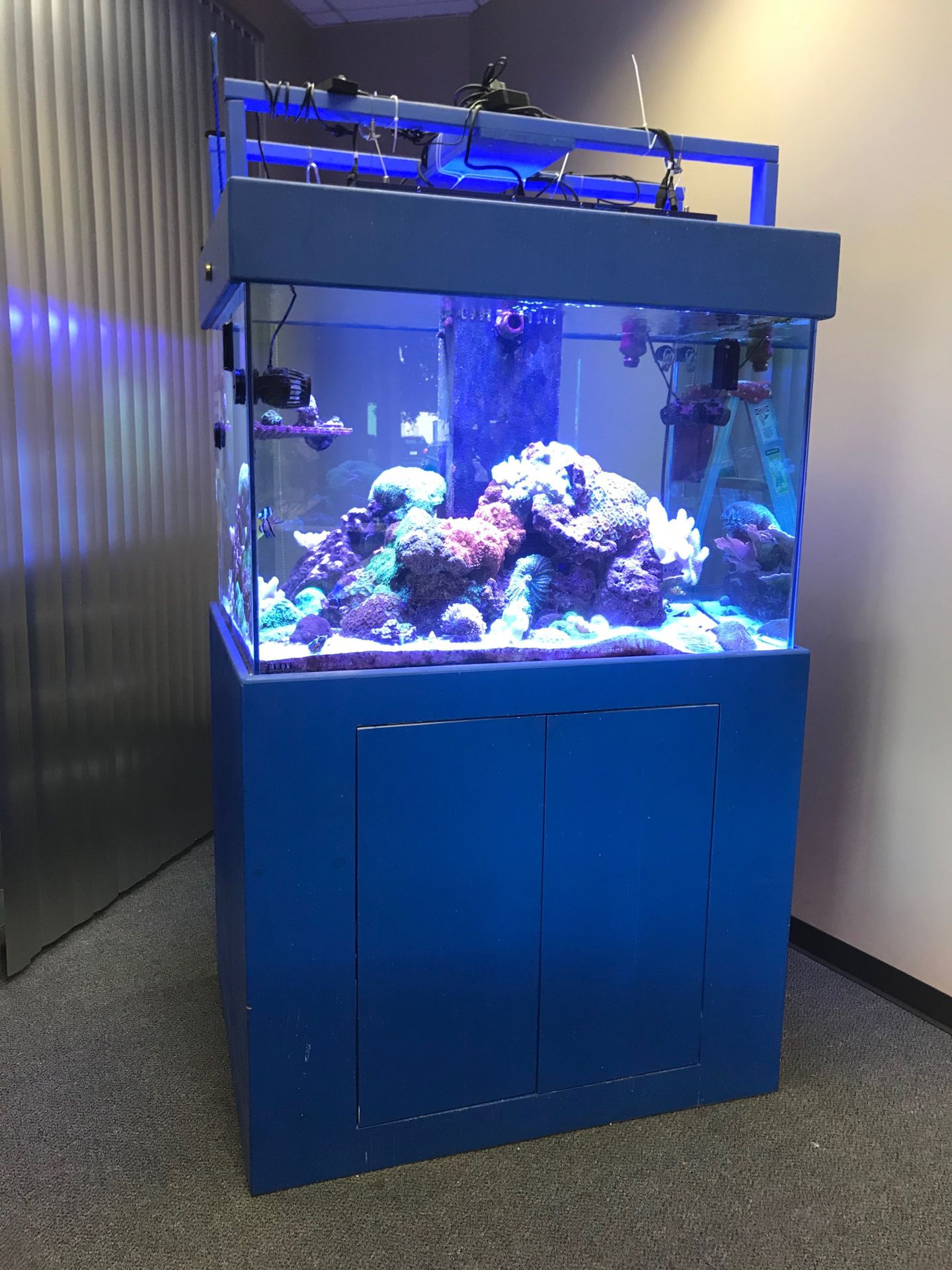 Full set Sea water fish tank(all included)
