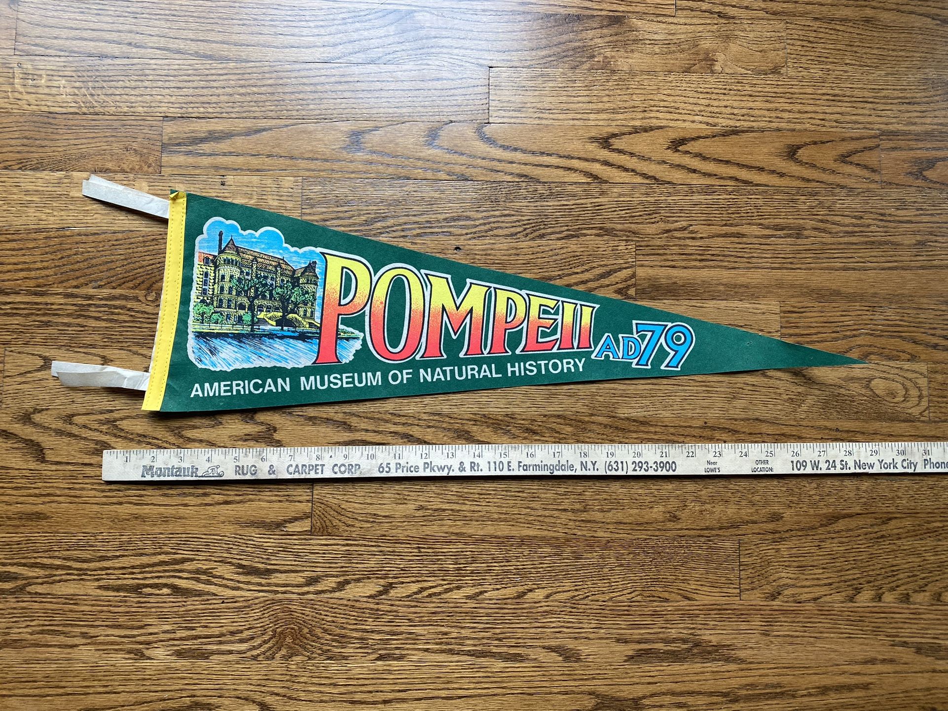 Pompeii AD 79 Felt Pennant New York Museum Of Natural History