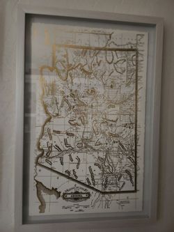 Beautiful 16" x 24" framed gold map of Arizona on a white washed frame/glass shadow box style