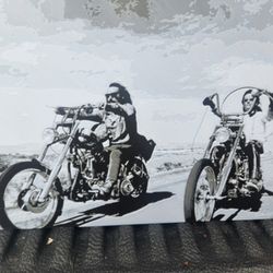 Easy Rider plastic Photo 