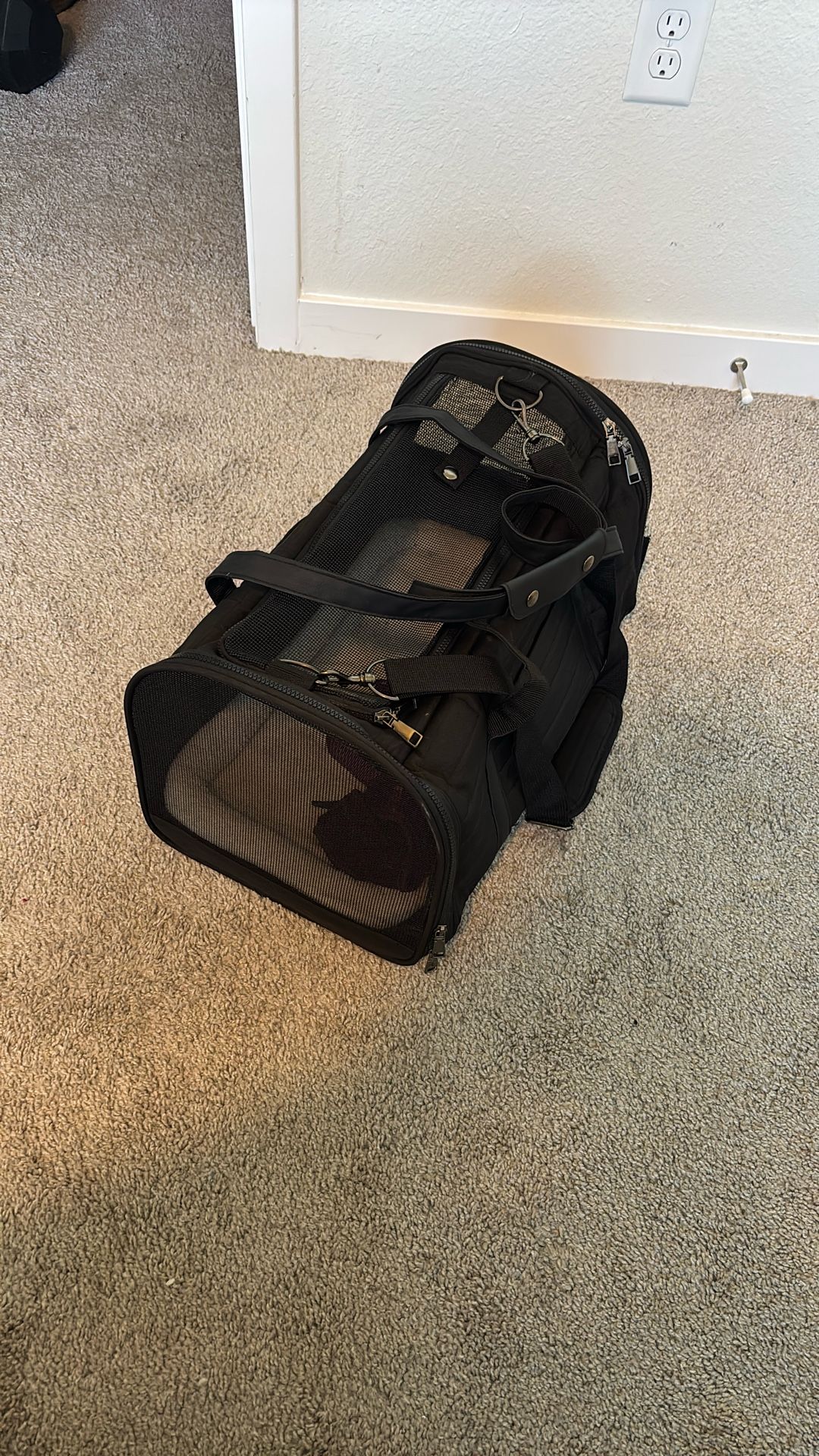 Pet Carrier 