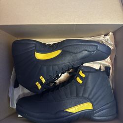 Jordan 12 taxi 