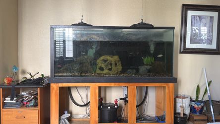 200 gallon fish tank.