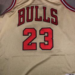 Jordan ‘95-‘96 Championship Jersey (Premium Gold)