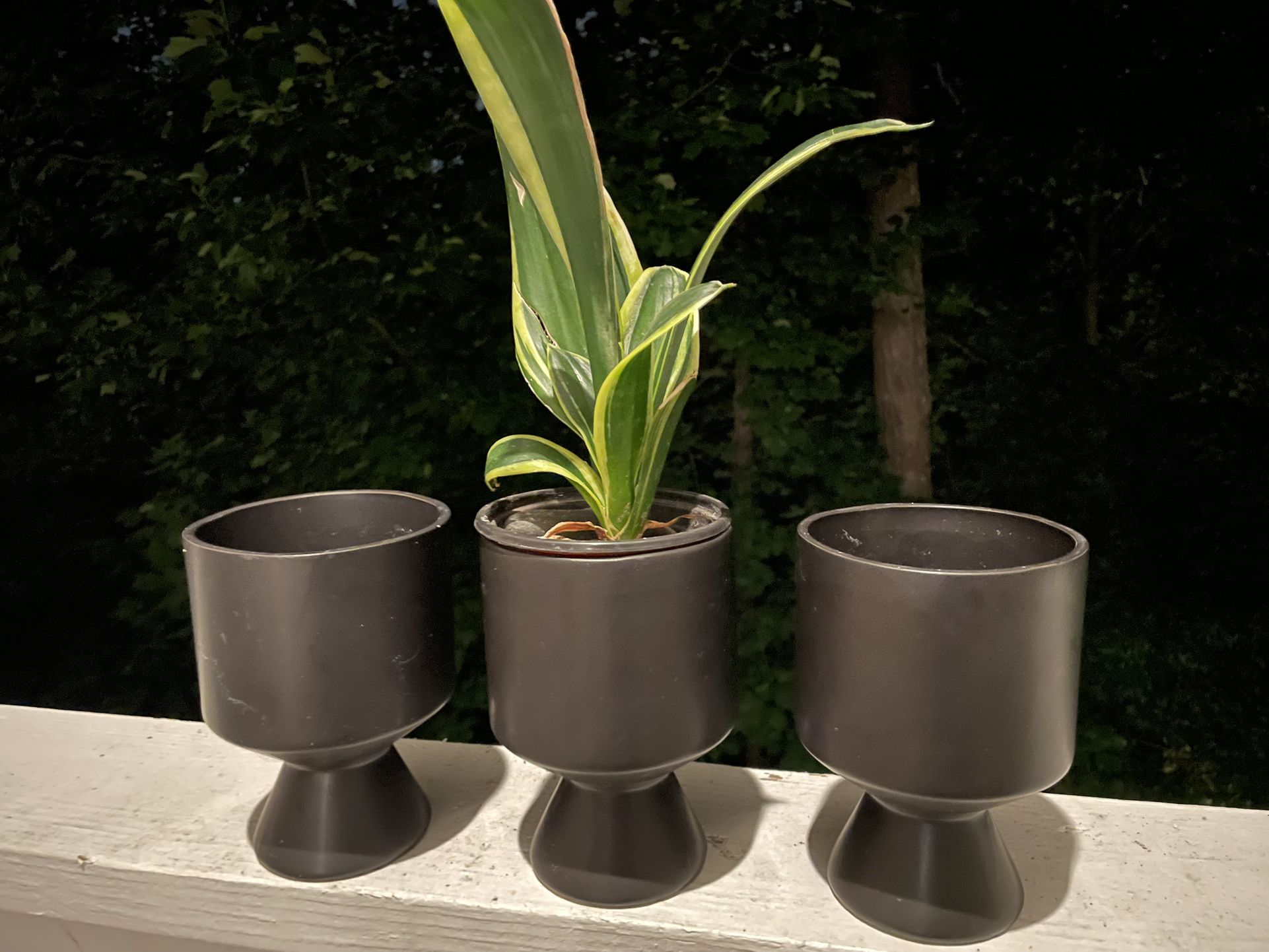 $10 | Ceramic Planter | Cache Pot