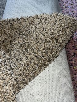 Brand New- Fresh Carpet