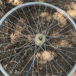29er Throne Crome Rim 