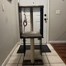 cat tree