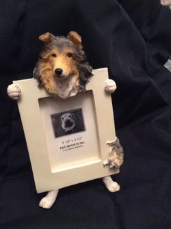 Collie or Sheltie Dog Frame