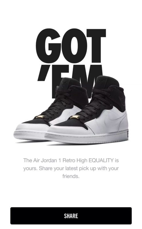 Air Jordan I retro equality