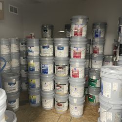 Paints Primer 