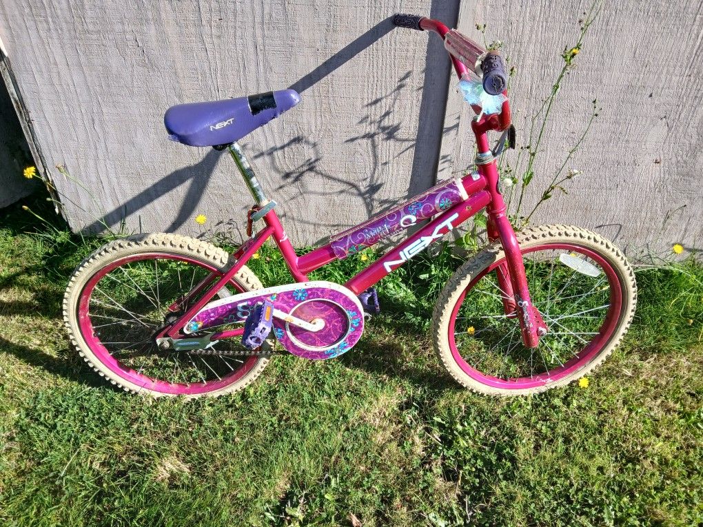 Used Girls Bicycle