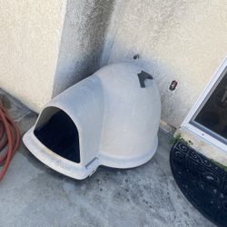 Dog House