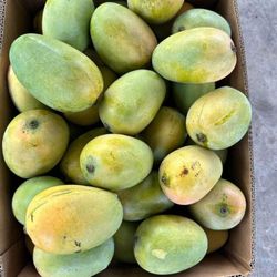 Carrie Mangoes