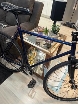 tracklocross inspired fixed geared bike