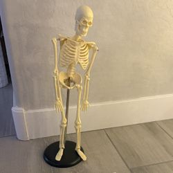 Tiny Tim Skeleton