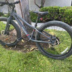 REI Kids Fat Tire Mountain Bike