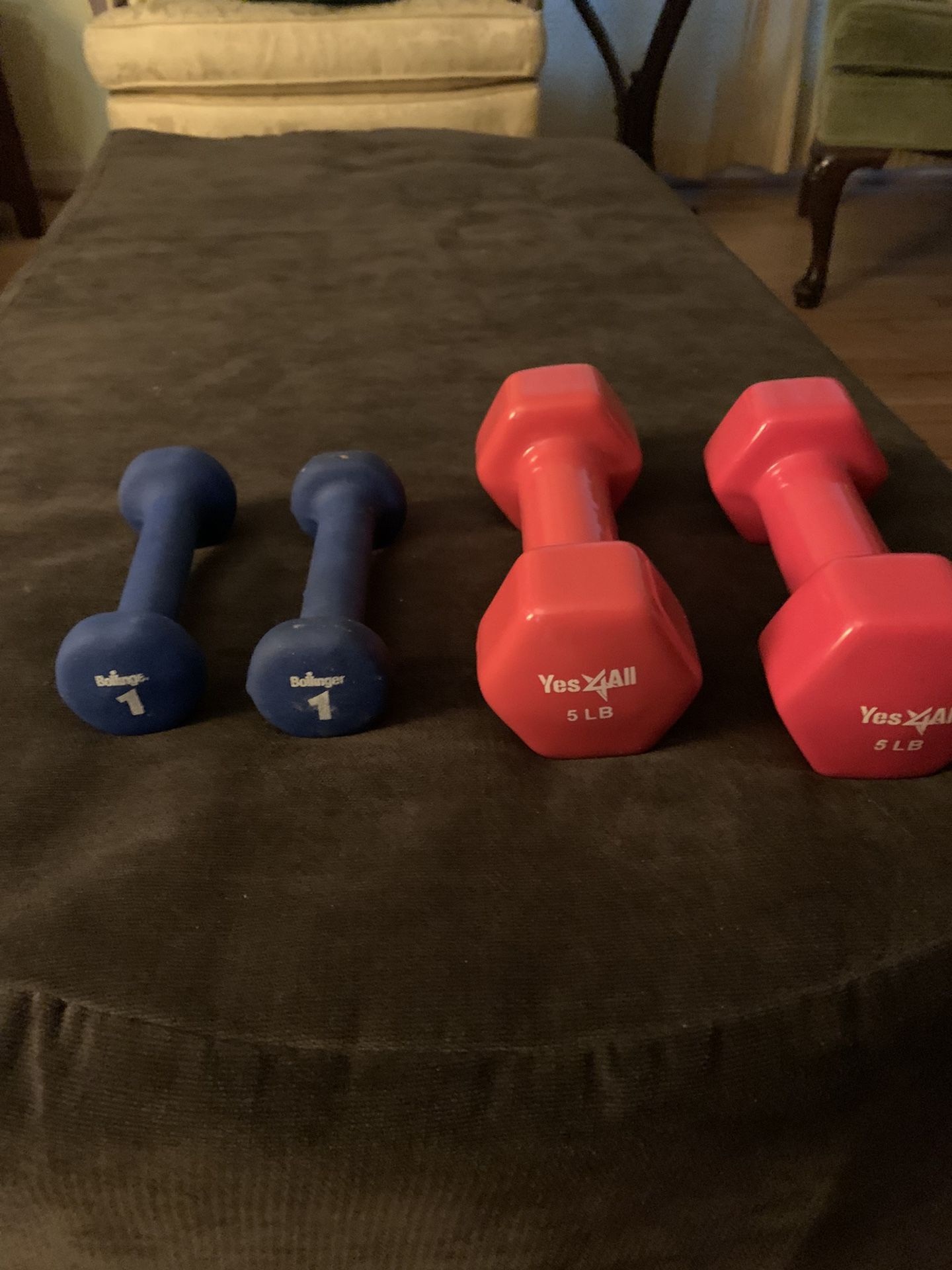 Excercise Hand Weights- Two 5 Ib & Two 1 Ib 