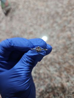 925 sterling silver frog ring