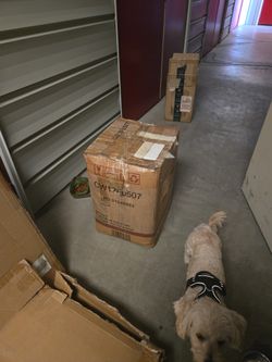 Cat House