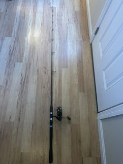 Fishing Rod And Reel