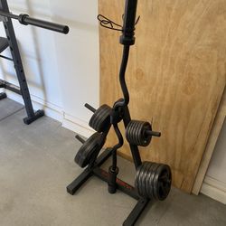 Weights and Bench