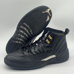 Nike Air Jordan 12 XII Retro The Master 130690-013 Men’s Size 12