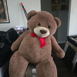Teddy bear
