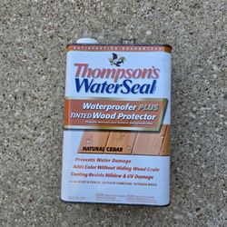 Thompson's Water Seal Waterproofer Plus Tinted Wood Protector Natural Cedar use on Decks, Fences...