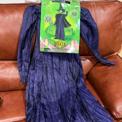 Brand New Wicked Costume 