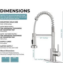 Kitchen Faucet with Pull Down Sprayer