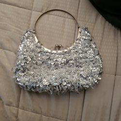 Silver Bag