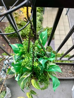 Hanging Artificial Plant