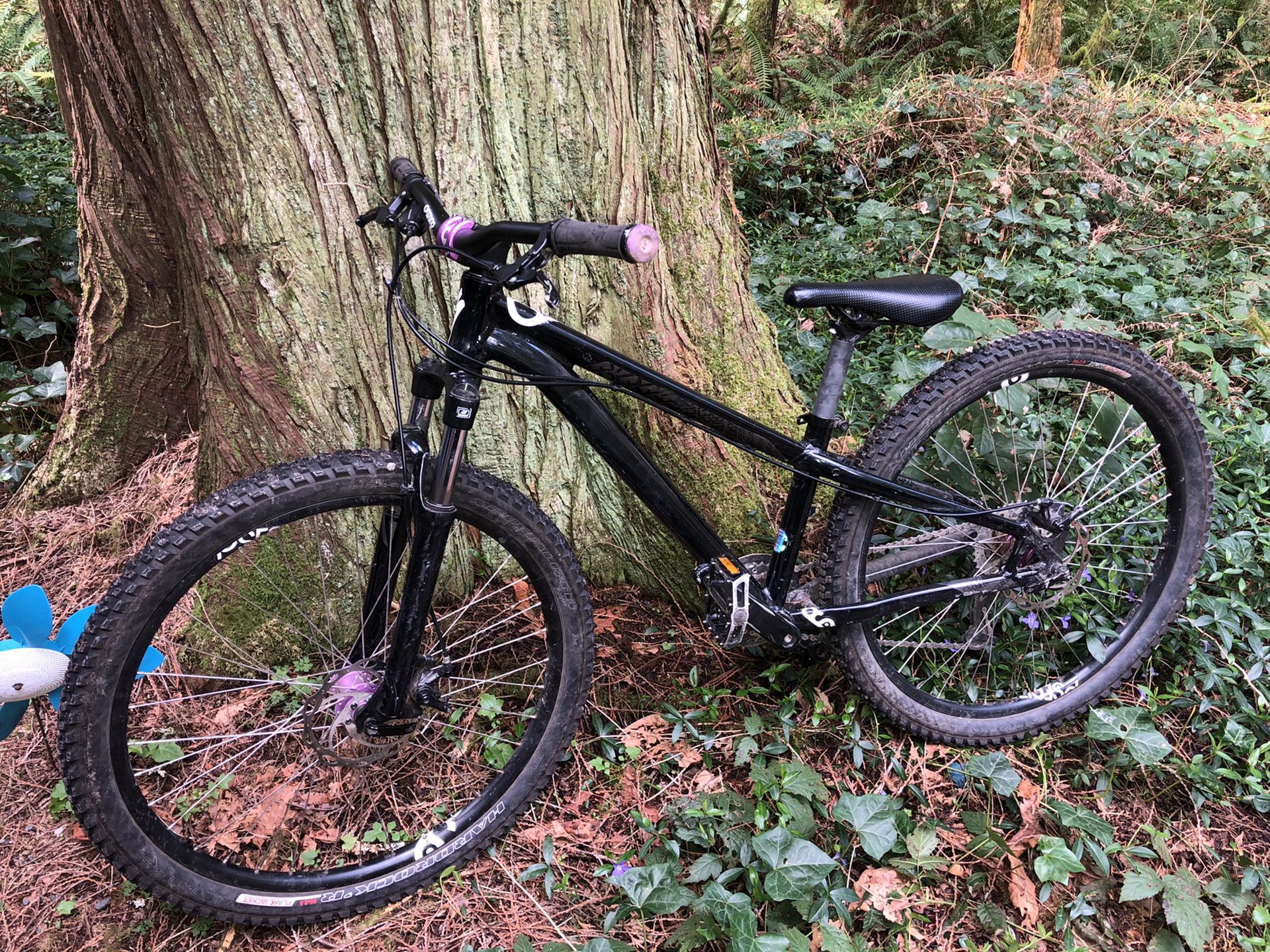 XS Specialized P.Series dirt jumper