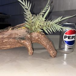Fish Tank Decor