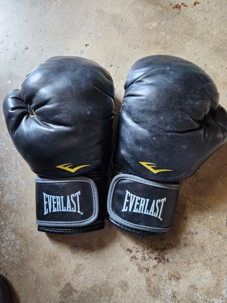 Everlast Heavybag Gloves
