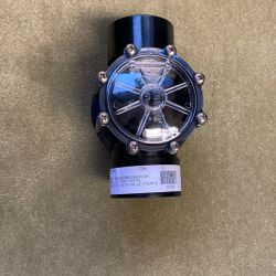 Pentair Pool CPVC Check Valve 2”