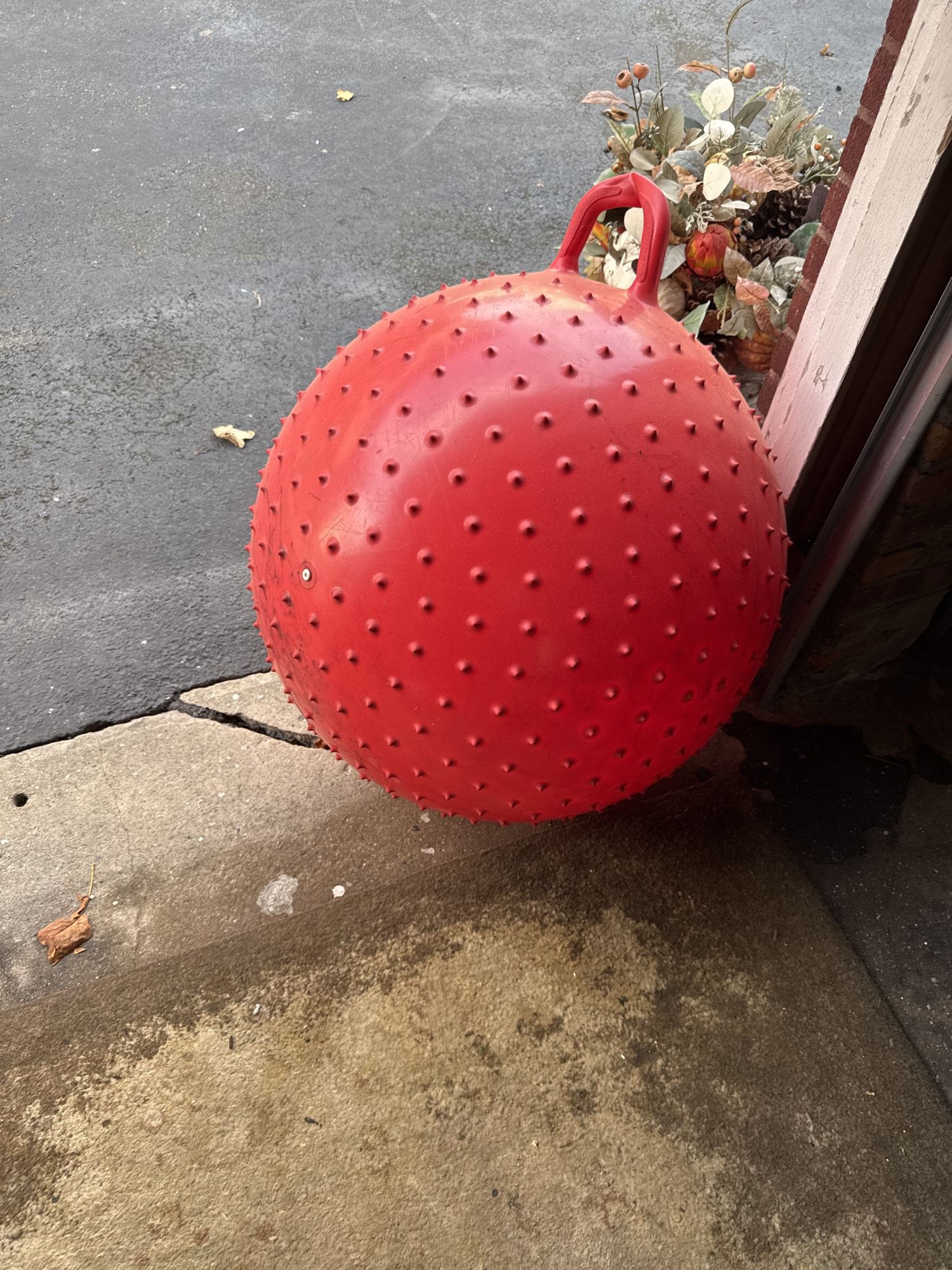 Red Knobby Hedgehog Bouncy Ball