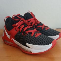Lebron James basketball shoes