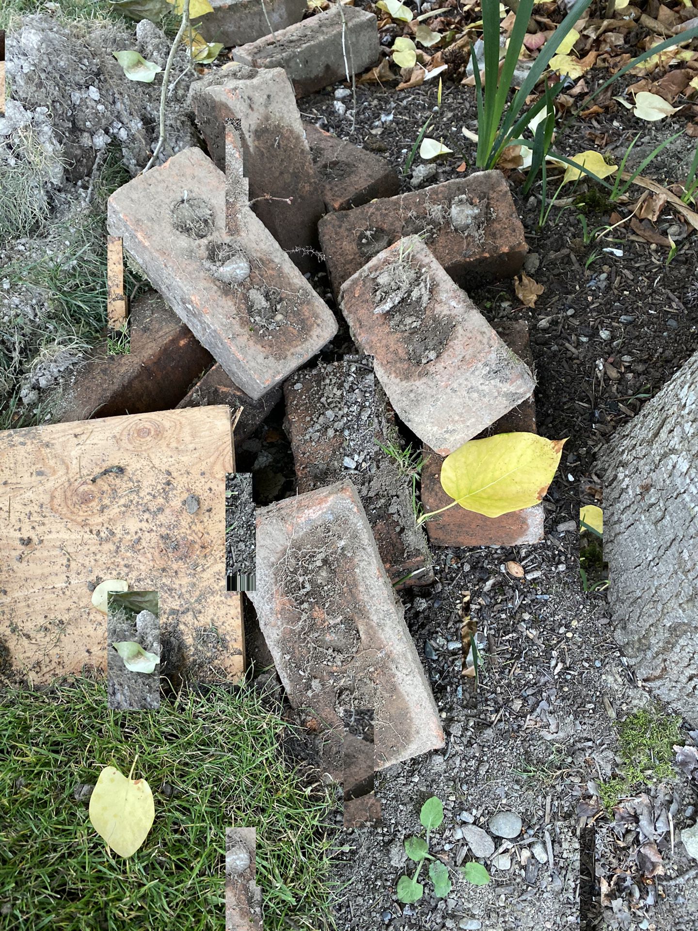 Free garden bricks-25 of them
