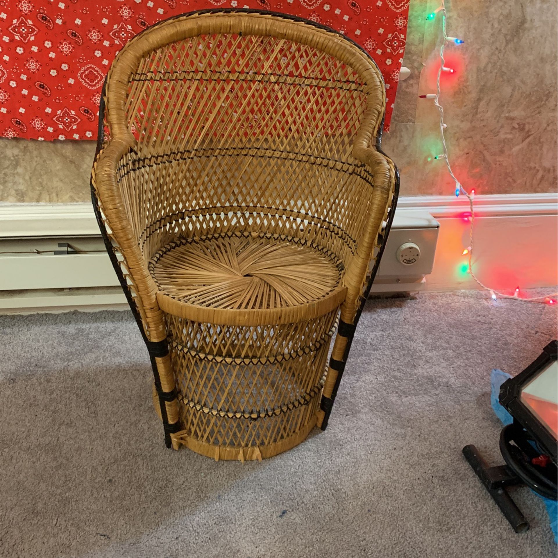 Vintage Large Child's Wicker Peacock Type Rattan Chair - Rare 24"