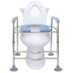 Toilet Seat With Arms 