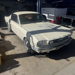 1966 Mustang Fastback GT