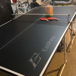Ping Pong Table! Folds And Divides To Move Or Store